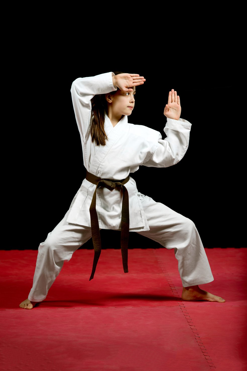 Karate martial Arts