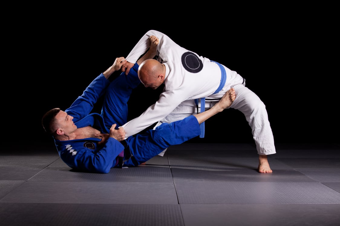 Brazilian jiu-jitsu martial arts